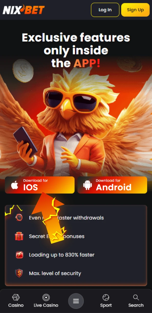 Tik op de knop om de installatie van de Nixbet iOS app te starten.